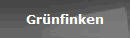 Grnfinken