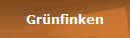 Grnfinken
