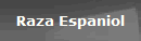 Raza Espaniol