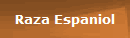 Raza Espaniol