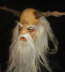 DSC01610