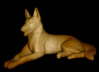 DSC01704